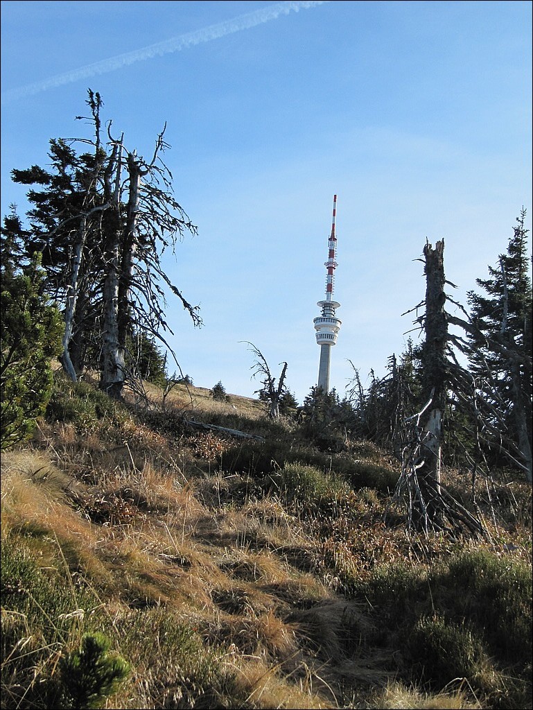 20111119-20 Jeseniky 051.jpg